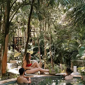 Lodge Anand Ecoaldea